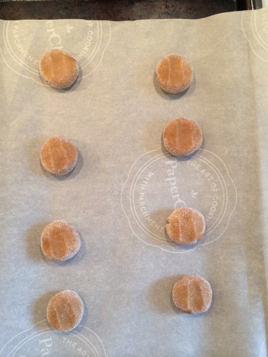 James' Amazing Molasses Cookies