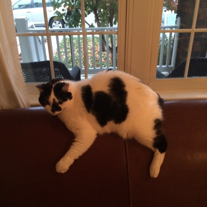 One would think there would be more comfortable places to sleep.