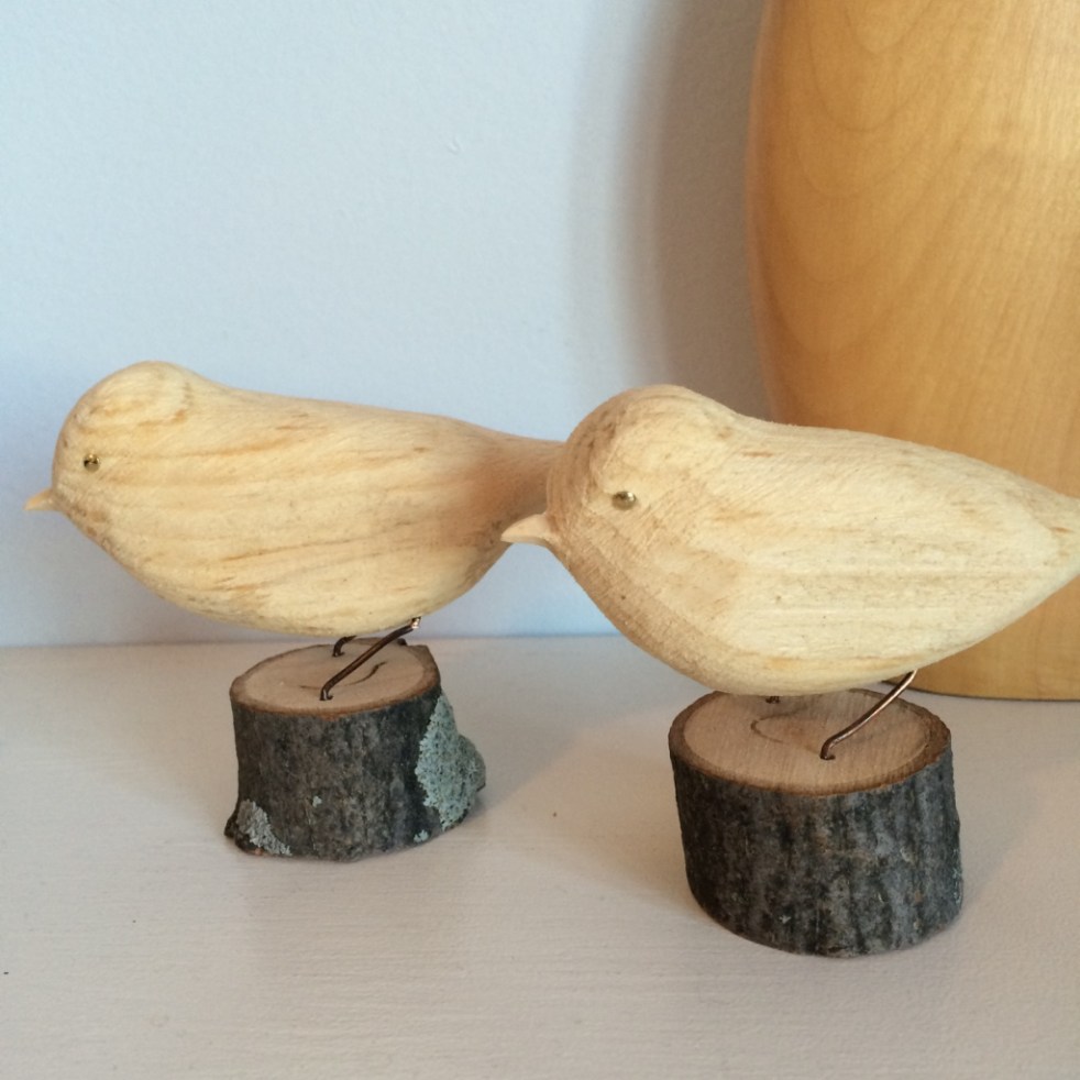 The Bird Man of Toronto