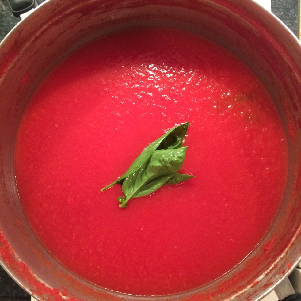 Homemade Passta (Tomato purée)