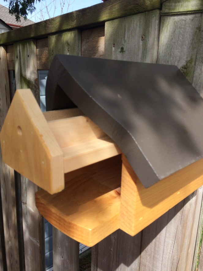 How to raise mason bees and leaf cutter bees