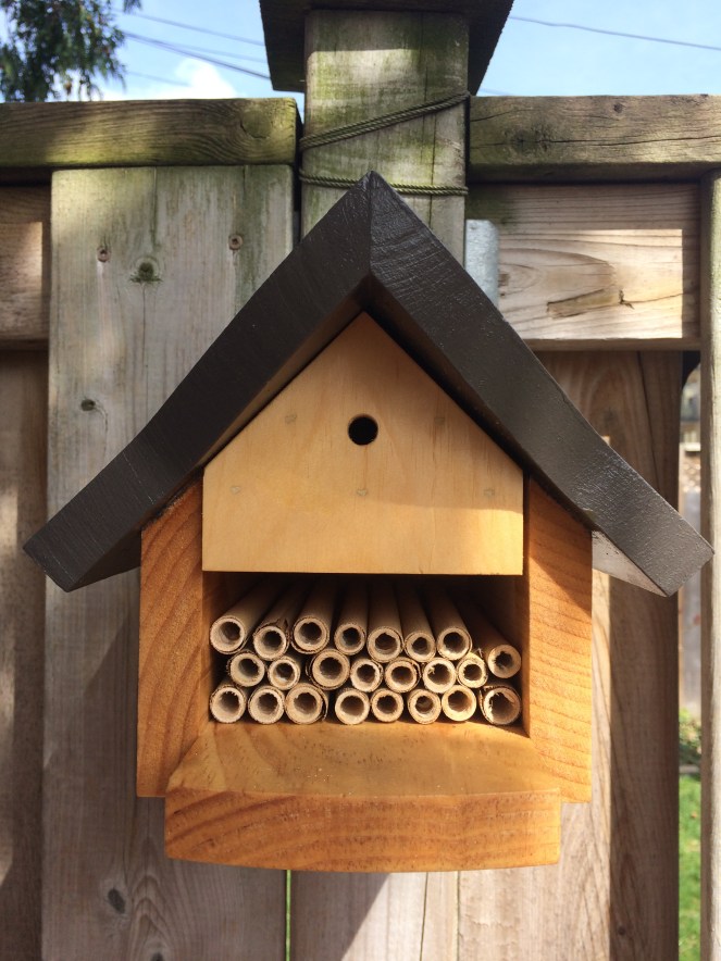 how to raise mason and leaf cutter bees